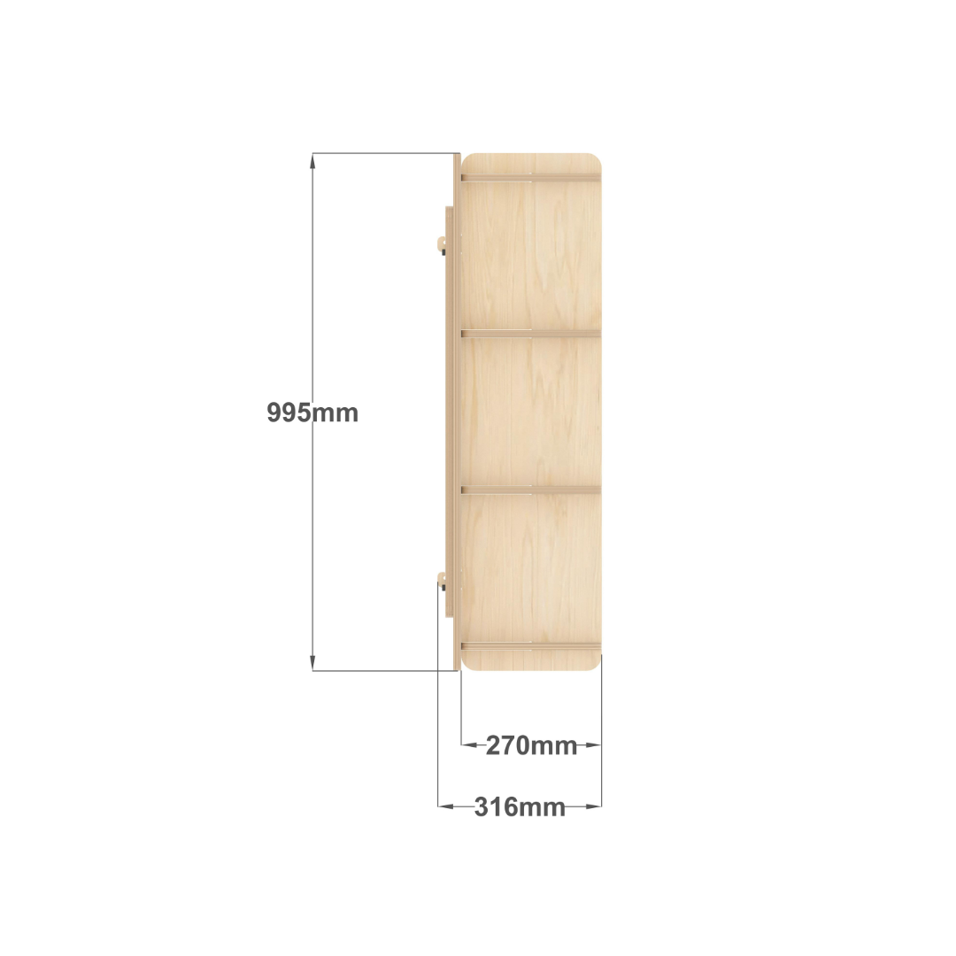 Kids Bookshelf (large)